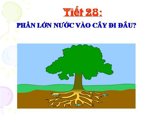 Bài 24. Phần lớn nước vào cây đi đâu?