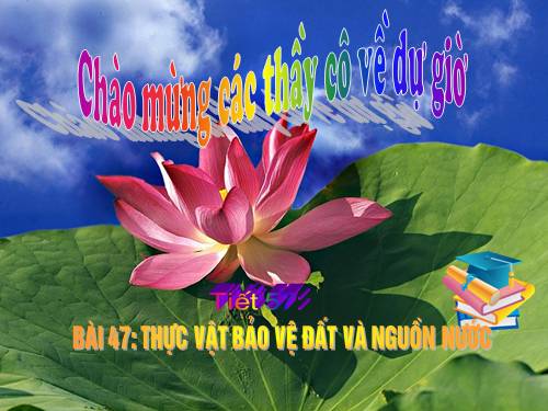 Bài 47. Thực vật bảo vệ đất và nguồn nước