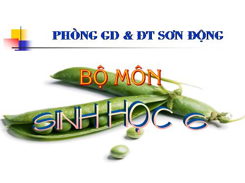 Bài 41. Hạt kín - Đặc điểm của thực vật Hạt kín