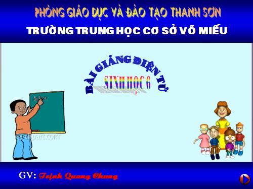 Bài 25. Biến dạng của lá