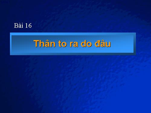 Bài 16. Thân to ra do đâu ?