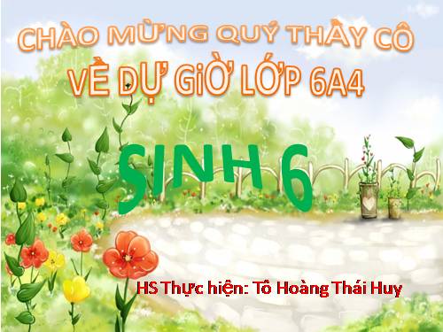 Bài 29. Các loại hoa