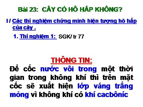 Bài 23. Cây có hô hấp không?