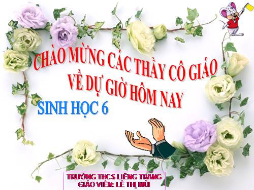 Bài 21. Quang hợp