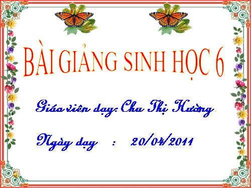 Ôn tập sinh học 6