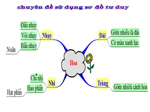 Bài 28. Cấu tạo và chức năng của hoa