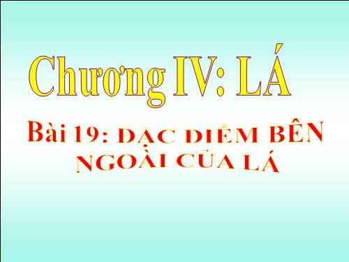 Bài 19. Đặc điểm bên ngoài của lá