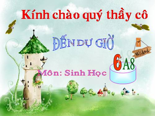 Bài 46. Thực vật góp phần điều hoà khí hậu