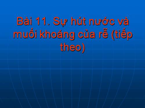 Bài 11. Sự hút nước và muối khoáng của rễ