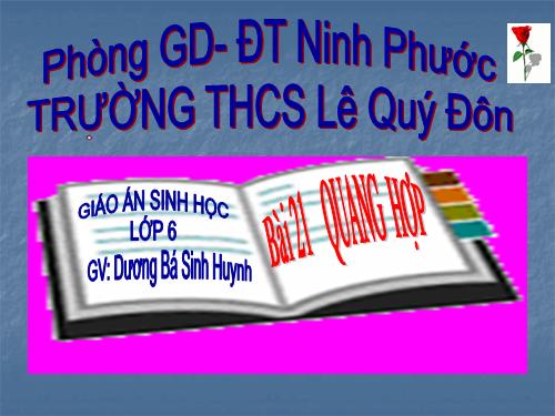 Bài 21. Quang hợp