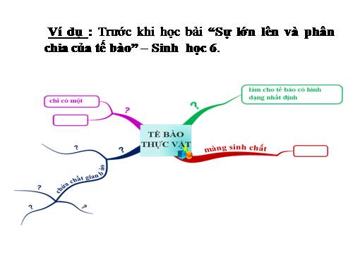 sơ dồ tư duy
