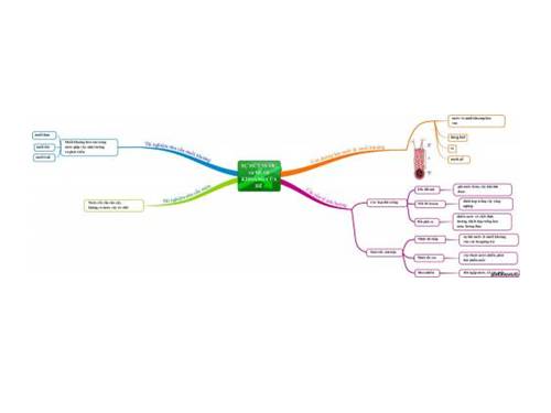 Sự hút nước và muối khoáng - Sơ đồ tư duy