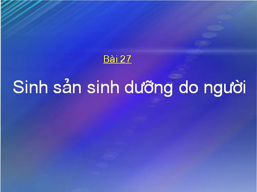 Bài 27. Sinh sản sinh dưỡng do người