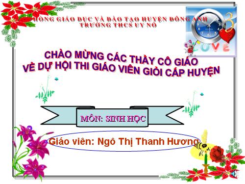 Bài 19. Đặc điểm bên ngoài của lá