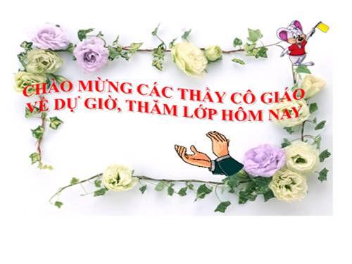 Bài 17. Vận chuyển các chất trong thân