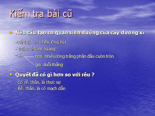 Bài 40. Hạt trần - Cây thông