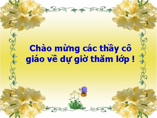 Bài 17. Vận chuyển các chất trong thân