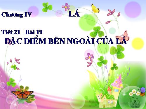 Bài 19. Đặc điểm bên ngoài của lá