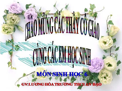 Bài 17. Vận chuyển các chất trong thân