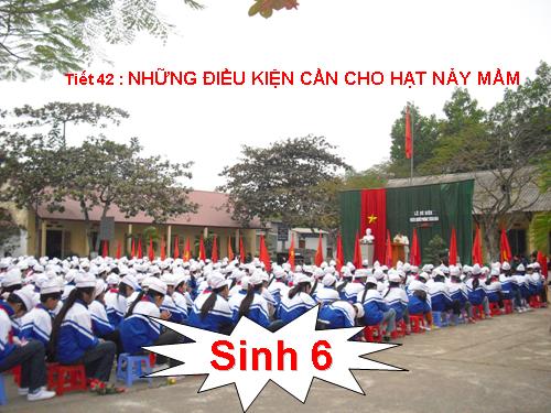 Bài 35. Những điều kiện cần cho hạt nảy mầm