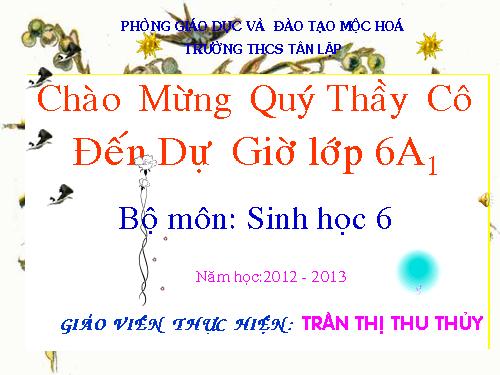 Bài 16. Thân to ra do đâu ?