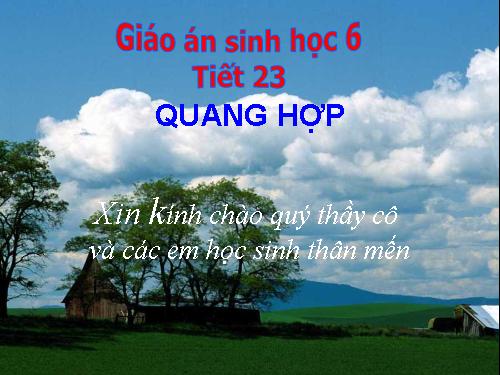 Bài 21. Quang hợp