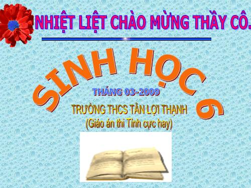 Bài 48. Vai trò của thực vật đối với động vật và đối với đời sống con người