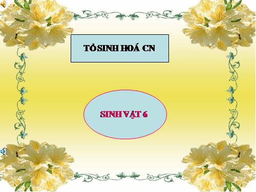 Bài 18. Biến dạng của thân