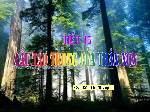 Bài 15. Cấu tạo trong của thân non