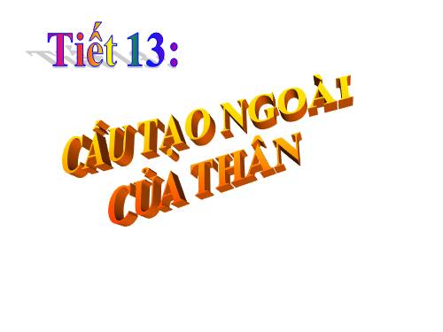 Bài 13. Cấu tạo ngoài của thân