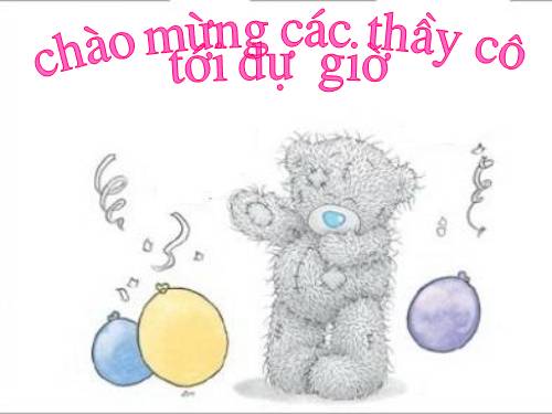 Bài 15. Cấu tạo trong của thân non