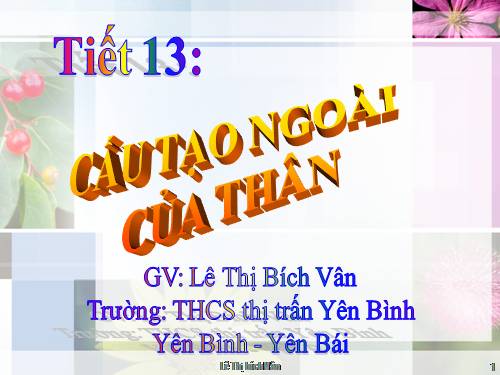 Bài 13. Cấu tạo ngoài của thân