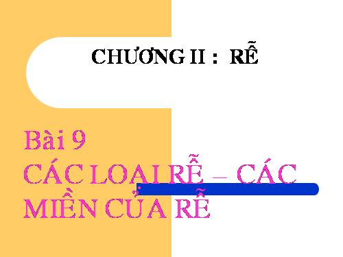 Bài 9. Các loại rễ, các miền của rễ