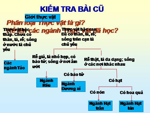 Bài 44. Sự phát triển của giới Thực vật