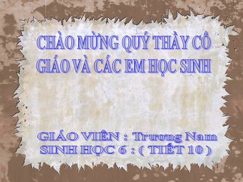 Bài 11. Sự hút nước và muối khoáng của rễ