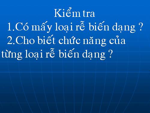 Bài 13. Cấu tạo ngoài của thân