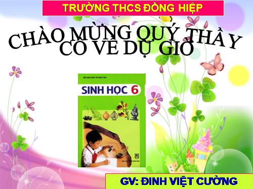 Bài 13. Cấu tạo ngoài của thân