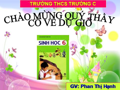 Bài 13. Cấu tạo ngoài của thân