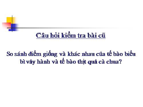 Bài 7. Cấu tạo tế bào thực vật