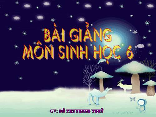 Bài 13. Cấu tạo ngoài của thân