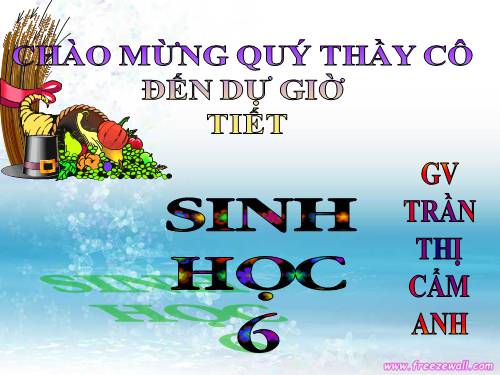 Bài 18. Biến dạng của thân