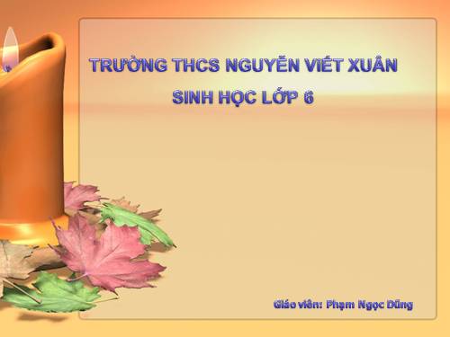 Bài 3. Đặc điểm chung của thực vật