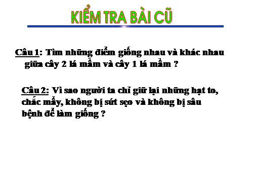 Bài 34. Phát tán của quả và hạt