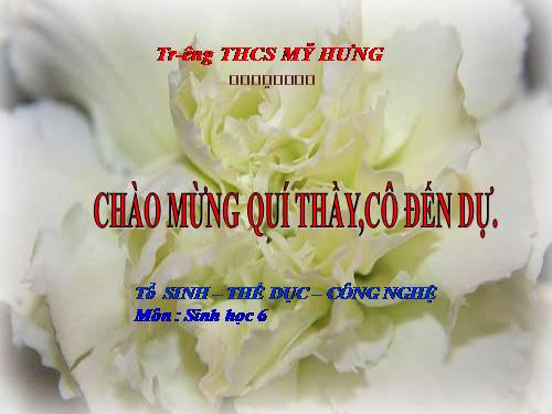 Bài 49. Bảo vệ sự đa dạng của thực vật