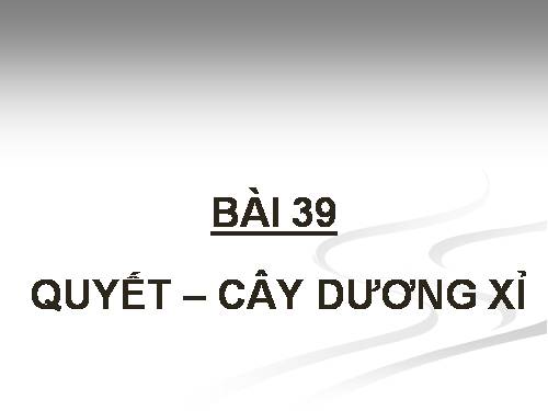 Bài 39. Quyết - Cây dương xỉ