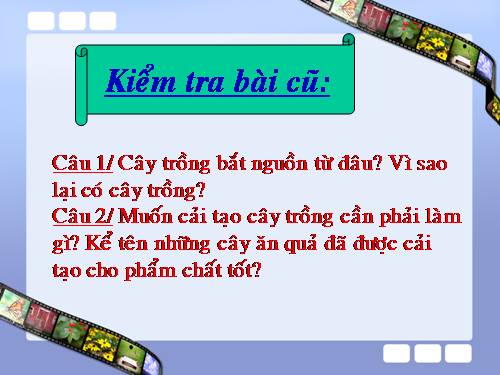 Bài 46. Thực vật góp phần điều hoà khí hậu