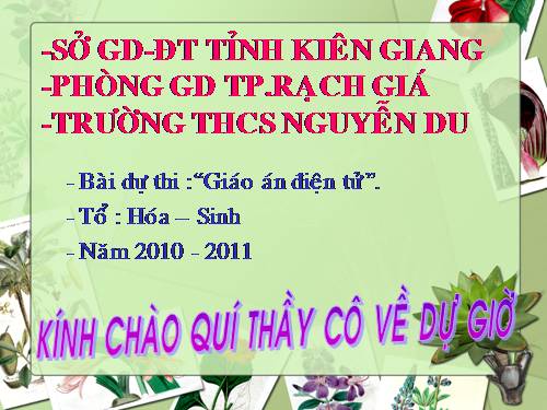 Bài 47. Thực vật bảo vệ đất và nguồn nước