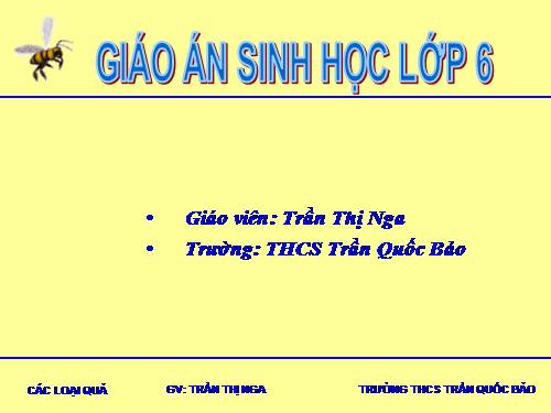 Bài 32. Các loại quả