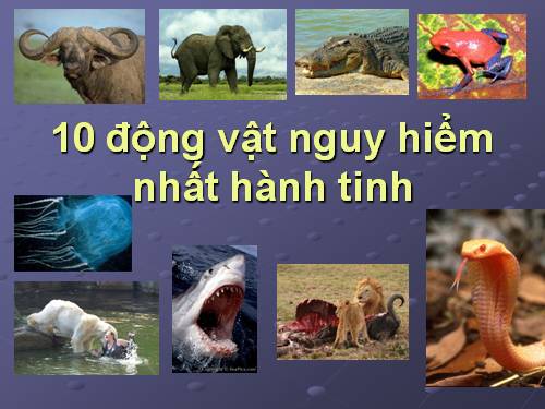 10 động vật nguy hiểm