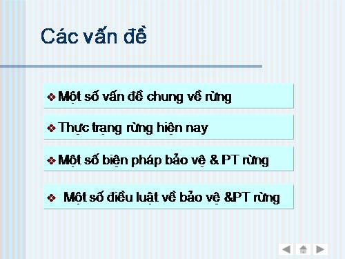 TRỒNG RỪNG